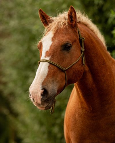 2fdba08d-3354-48c9-8a78-94e84144aa5e